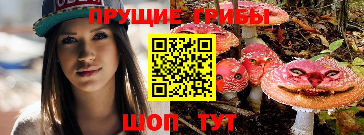 Псилоцибиновые грибы MAGIC MUSHROOMS Артёмовский