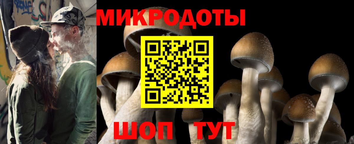 Артёмовский  Псилоцибиновые грибы GOLDEN TEACHER  Вход с VPN 